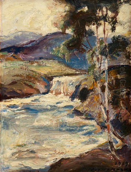 Rapids - view 1