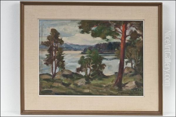 Nakyma Yli Jarven - Utsikt Over Sjon - view 1