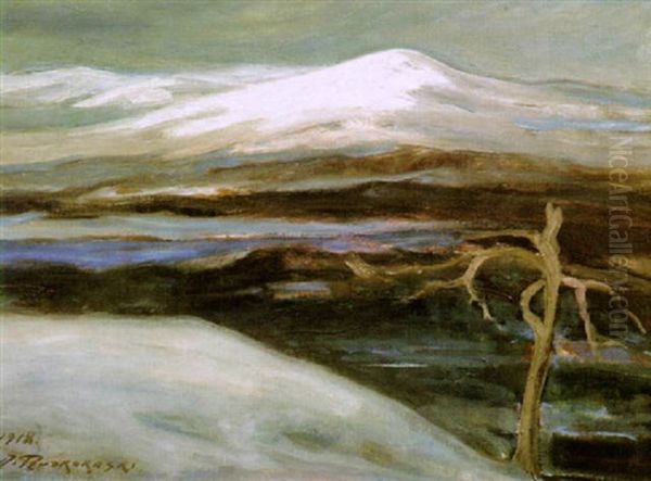 Tunturimaisema - view 1