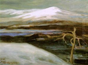 Tunturimaisema by Jalmari Ruokokoski