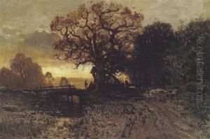 Abendstimmung Im Augebiet Abendstimmung Im Augebiet