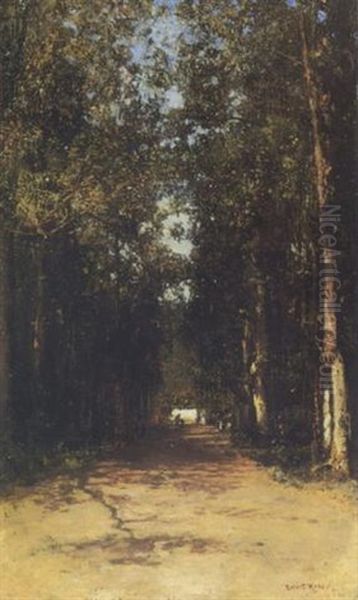Allee - view 1