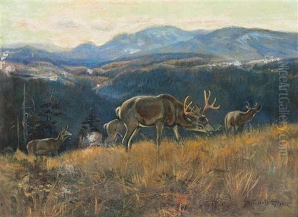 Black Tail, Buffalo Days - view 1