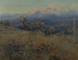 Deer In Landscape