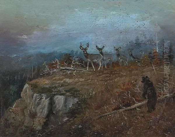 Deer And Bear In A Landscape - view 1