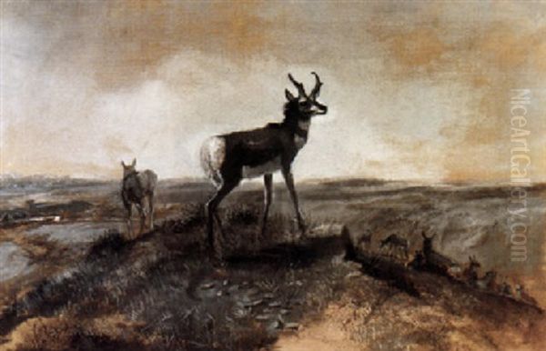 The Sentinel - view 1