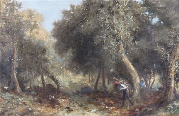 Gathering Sticks In The Wood - view 1