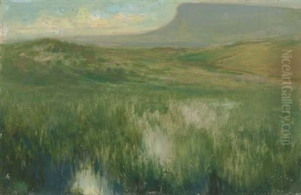 The Starling Lake - view 1