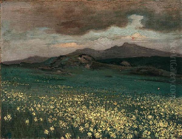 Mountain Flowers - view 1
