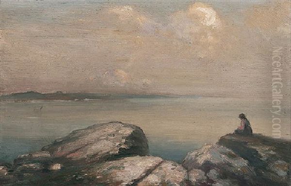 The View From The Rocks - view 1