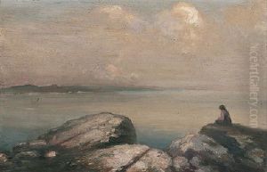 The View From The Rocks