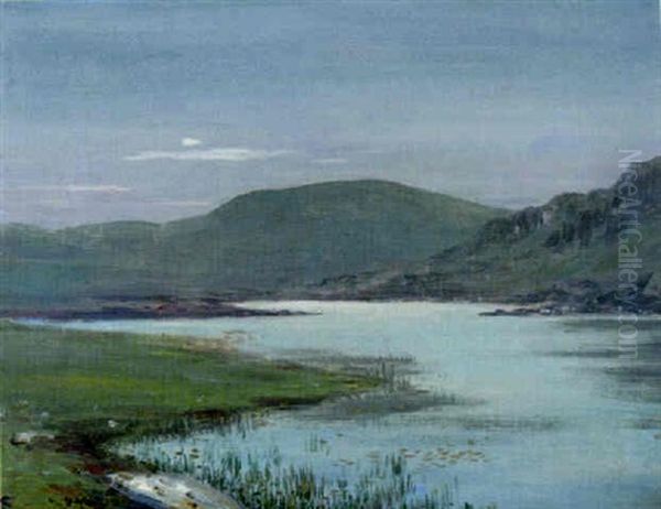 The Edge Of The Lough - view 1