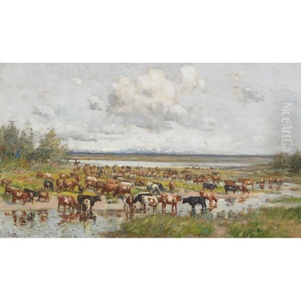 Herd Of Cattle Grazing By The Water - view 1