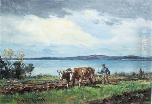 Ploughing The Fields, Nova Scotia