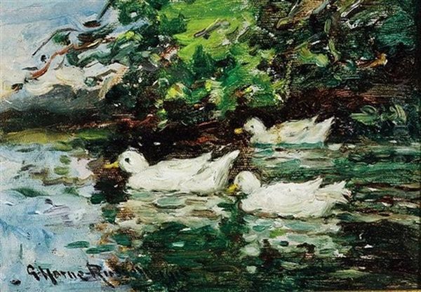 White Ducks - view 1