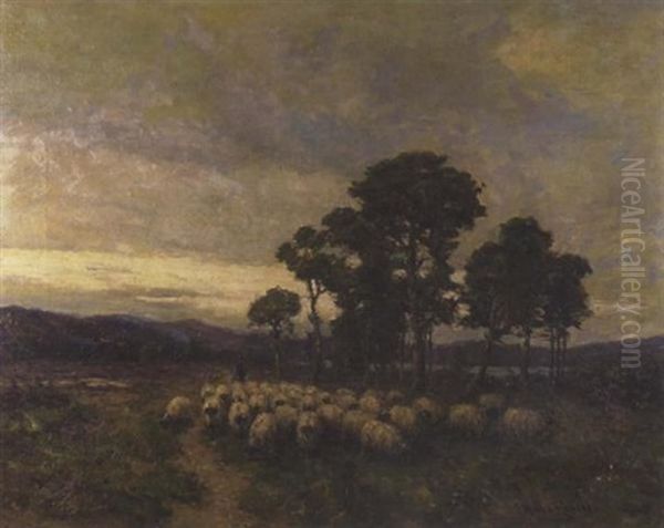 Herder And Sheep - view 1