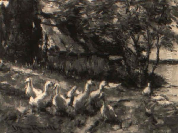 Ducks - view 1