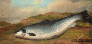A Prize Salmon On A River Bank