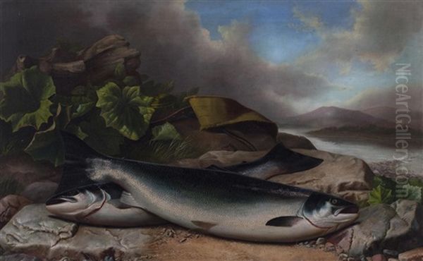 A Brace Of Grilse On A River Bank - view 1
