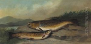 Brown Trout by John Bucknell Russell