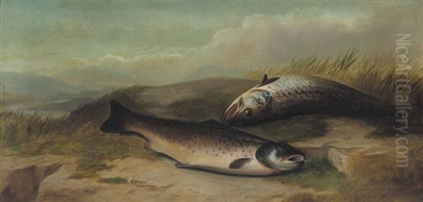 Salmon - view 1