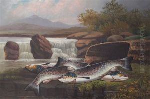 Trout On A Ledge by John Bucknell Russell