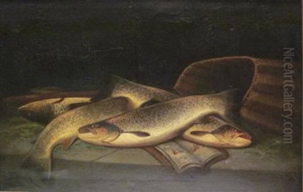 River Trout - view 1