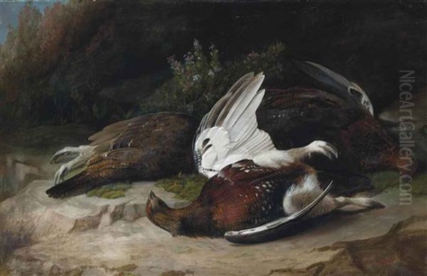 Grouse - view 1