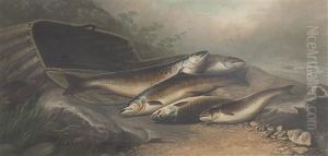 The Day's Catch Of Salmon/trout by John Bucknell Russell