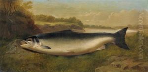 Still Life Of A Prize Salmon On A Riverbank