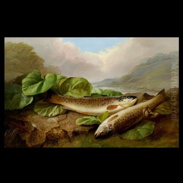 The Day's Datch Of Brown Trout - view 1