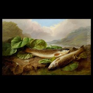 The Day's Datch Of Brown Trout The Day's Datch Of Brown Trout