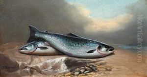 A Brace Of Salmon (+ A Catch Of Brown Trout; Pair) by John Bucknell Russell