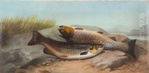 A Brace Of Trout by John Bucknell Russell