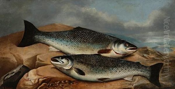 A Brace Of Salmon On A Rock - view 1