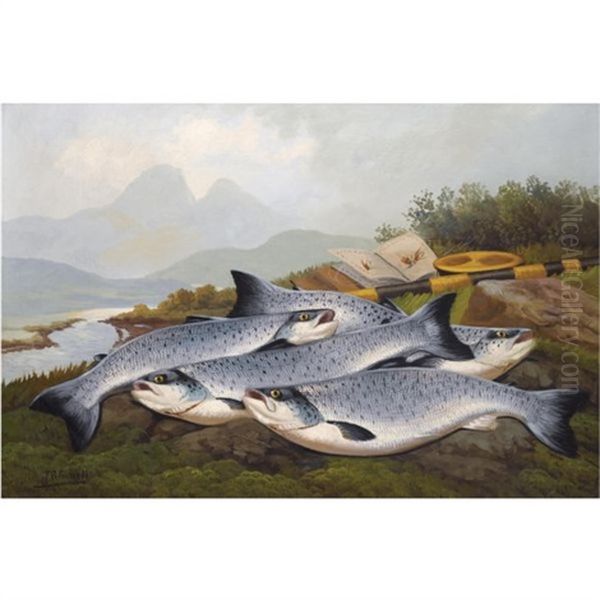 Sea Trout - view 1