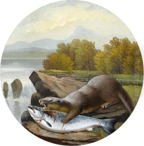 Otter Mit Gefangener Forelle Am Flussufer