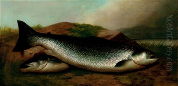 Salmon On A River Bank - view 1