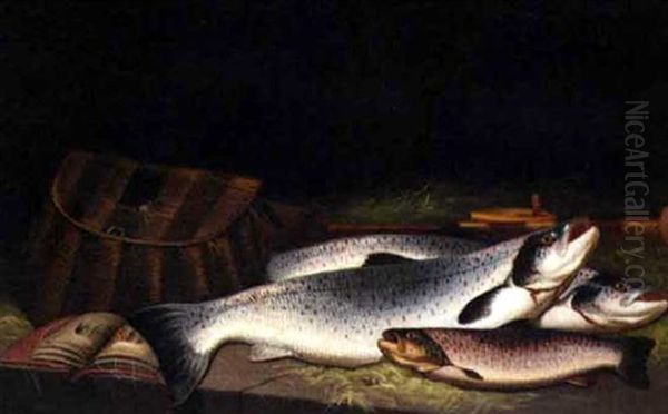 Sea And Brown Trout - view 1