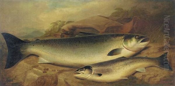 Salmon And Trout On A River Bank - view 1