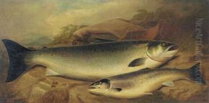 Salmon And Trout On A River Bank by John Bucknell Russell