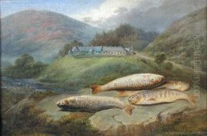 A Catch Of Salmon On A Riverbank