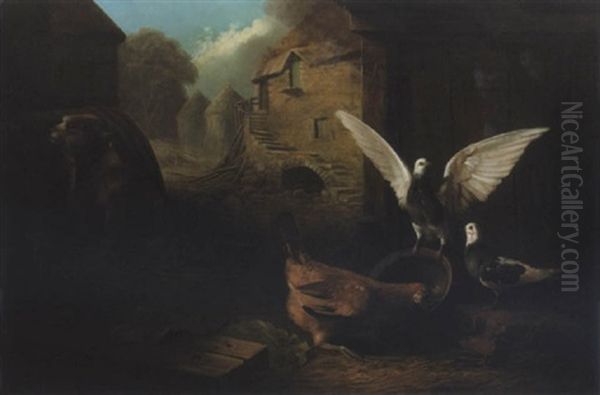 Farmyard Scene With A Jack Russell Terrier, Two Pigeons And A Hen, With Cottage Beyond - view 1