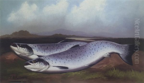 The Day's Catch - view 1