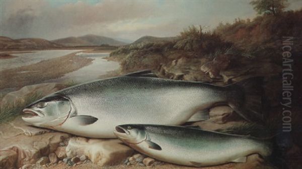 Salmon On A River Bank - view 1