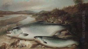 Salmon On A River Bank