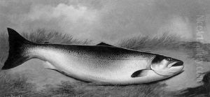 Still Life Of A Salmon by John Bucknell Russell