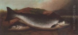 Salmon On The Bank Of A River by John Bucknell Russell