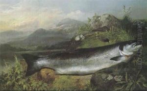 A Salmon