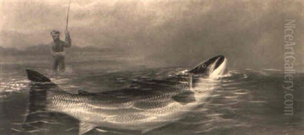 Salmon Rising To Bait - view 1
